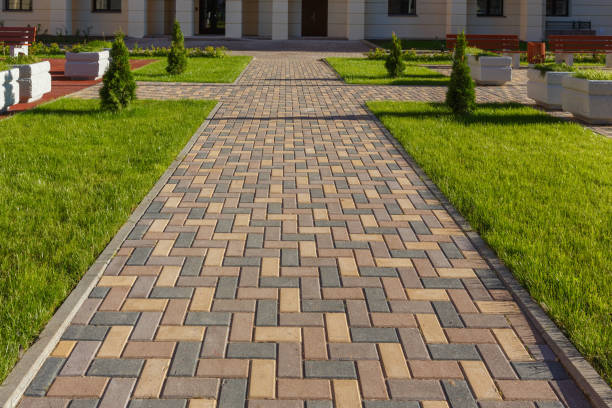 Best Local Driveway Pavers  in Freeland, MI